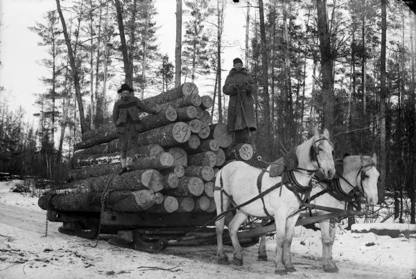 Two men stand on top of a load of logs that is pulled by a team of two horses.