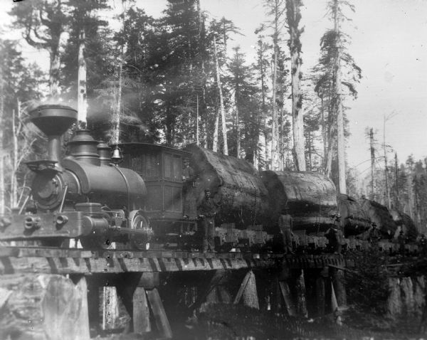 A train pulls a load of very large tree trunks. Several men stand between the large logs.