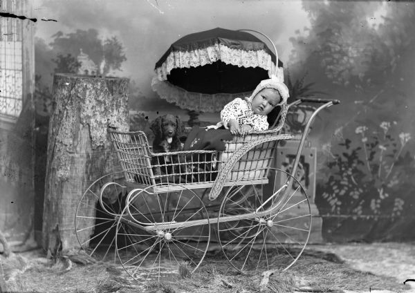 A studio portrait of a baby in a bonnet and a dog seated in a baby carriage with an umbrella in front of a painted backdrop and a prop tree stump.
