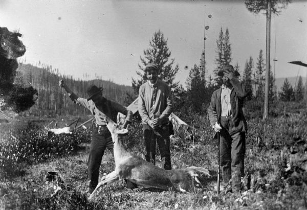 Three hunters standing in a clearing with a felled deer. One of the men is posing with a knife in his hand while holding the head of the deer. The other two men stand holding their rifles.