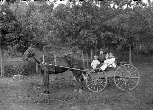 Woman, two girls, and a boy posed sitting in a buggy pulled by a single horse. They are in front of a group of trees.