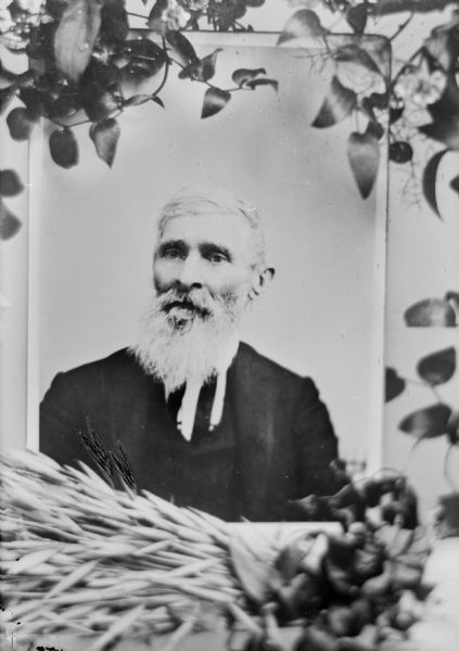 Copy photograph of a studio portrait of a European American man with a white moustache and beard, wearing a dark-colored suit coat and dark-colored ribbon necktie. The photograph print is surrounded by cuttings from plants, including wheat on the lower edge and ivy on the upper and right edges. Several grains of wheat that obscured the lower left corner of the photograph print have been removed via etching.