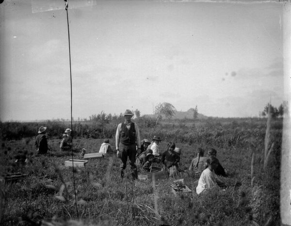 Several Ho-Chunk and European American men, women, and children standing and kneeling in a field with wooden boxes. Probably picking cranberries at Gebhardt's nursery. In the far background is possibly Castle Mound.