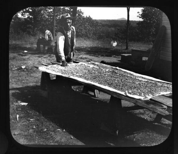 Lantern slide of a Ho-Chunk man wearing a hat posing standing behind a table loaded with kernels of corn on a cloth drying by a wooden building. The man is identified as Joe Bear Heart. There is also another man sitting in the background, and a chicken in the yard at right. In the far background is a bluff along the horizon.