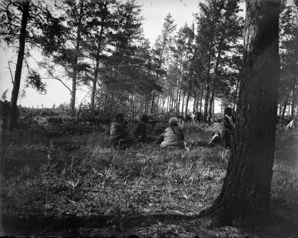 Ho-Chunk women are sitting wrapped in shawls in a stand of trees. A dog is sitting with them. There is a group of horses and a wagon in the background. Probably during a medicine dance at a marsh.