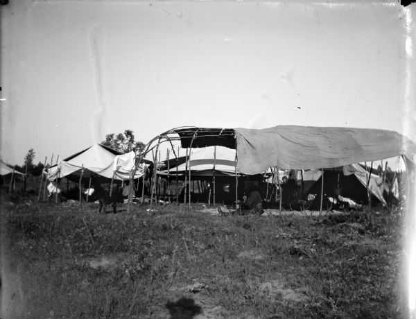 Ho-Chunk lodges with flaps raised. A few individuals are visible inside, and there is a dog on the left. Probably a swan dance lodge and war bundle feast. There is a shadow of a man wearing a hat in the foreground; perhaps the photographer.