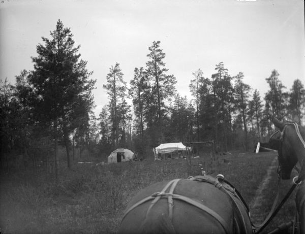 Two horses are in the foreground, and a Ho-Chunk lodge, cloth tent, and a food preparation platform or arbor are in the distance in a clearing surrounded by trees.