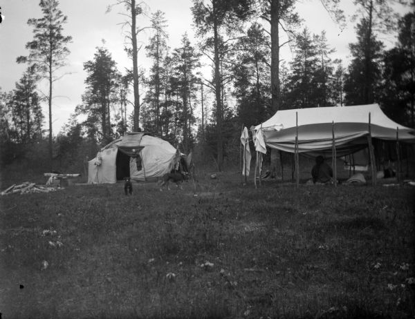 In a clearing surrounded by trees is a Ho-Chunk winter lodge on the left, and a Ho-Chunk summer lodge on the right. A Ho-Chunk woman is sitting inside the summer lodge. Two dogs are nearby in the clearing. Owned by George Monegar.