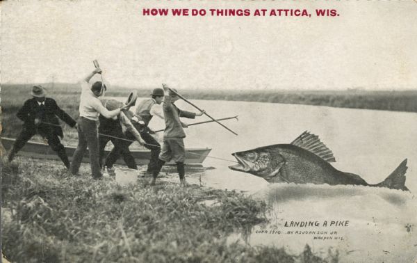 A group of men on a lakeshore grapple with a giant pike. Two men pull on a rope hooked to the pike while two more stand ready with harpoon-like sticks. Another man has taken off his hat to pour out a bottle of water on his head. Red text in the upper portion of the image reads: "How we do things at Attica, Wis."