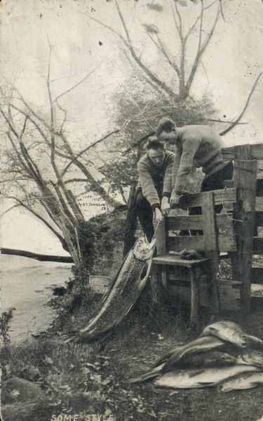 Two men are pulling a giant fish over a wooden fence. They are on the shore of a lake. On the ground beside the men rests a pile of several other giant fish that they have caught.