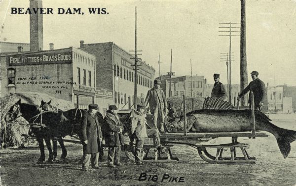 A group of working class men stand staring at a giant pike fish resting on a long, wooden horse-drawn sled. The scene takes place in an industrial district, including a pipe fittings and brass goods factory and some tall electric lines. Text in the upper left corner bears the inscription, "Beaver Dam, Wis."