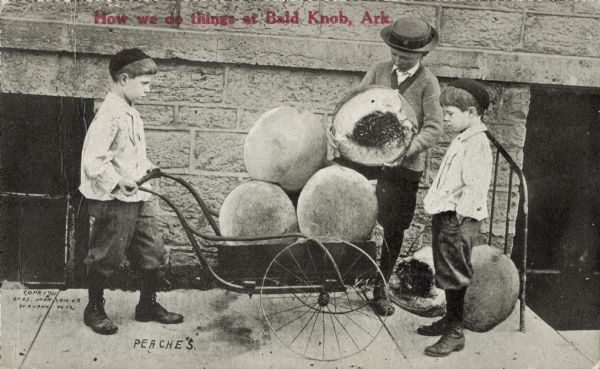 Three young boys gather around a wheelbarrow filled with giant peaches. One of the boys is holding a peach that has been broken open, exposing its pit. Two of the boys are wearing matching black boots, knickerbockers (knickers), white shirts, and black caps. Red text in the upper portion bears the words, "How we do things at Bald Knob, Ark."