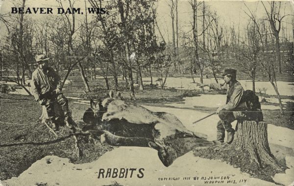 Two hunters stand around a pile of giant rabbits that they have killed in a Wisconsin forest. It is winter; there is snow on the ground. One of the hunters, who has a pipe in his mouth and a rifle in his hand, points at the pile of game. Text in the upper left corner bears the inscription: "Beaver Dam, Wis."