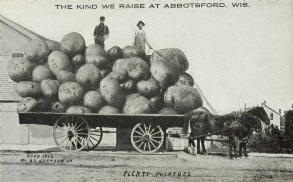 Two men, one wearing overalls and one wearing suspenders, stand on top of a mound of giant potatoes. A large cart drawn by two horses carries the potatoes and men. An inscription on the upper portion of the postcard reads, "The kind we raise at Abbotsford, Wis."