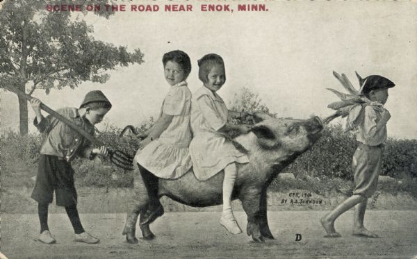 Two girls wearing white dresses ride a pig, sitting back-to-back. One girl holds the pig's tail and the other holds its ears. A boy pokes the pig's haunch with a pitchfork. In front, a barefoot boy lures the pig down the road with a husk of corn. Red text in the upper left bears the inscription, "Scene on the road near Enok, Minn."
