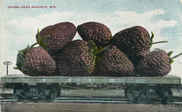 Photomontage of a bunch of giant strawberries resting on a flatbed railroad car. Red text in the upper left corner of the image field reads, "Grown near Augusta, Wis." The side of the car is incribed with the letters "P&G Co."