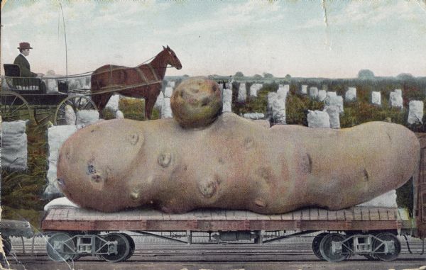 A giant, oddly-shaped potato rests on a flatbed railroad car. A horse-drawn carriage with a driver is visible behind the train. White bags filled with potatoes are scattered throughout the field in the background. An "SP" on the side of the car marks it as being on the Southern Pacific Railroad Line.