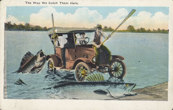 Three men in a old-fashioned car are driving in a lake and trying to catch two giant fish near the shore. One of the men drives while the other two are trying to hit the fish with large oars. Text on the top of the image says, "The Way We Catch Them Here."