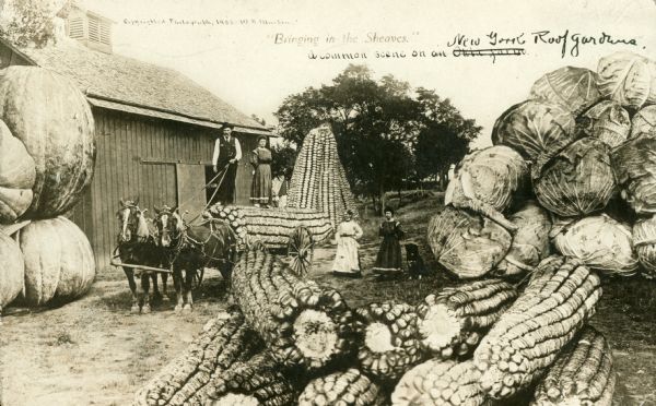 Photomontage of a farm scene with giant produce. A man and a woman stand on top of a giant ear of corn, resting on a horse-drawn cart. Around them are more giant corn cobs, cabbages, and pumpkins. Beside them stands a large wooden barn. In the upper center the words: "'Bringing in the Sheaves' a common scene on an Okla farm," are written.