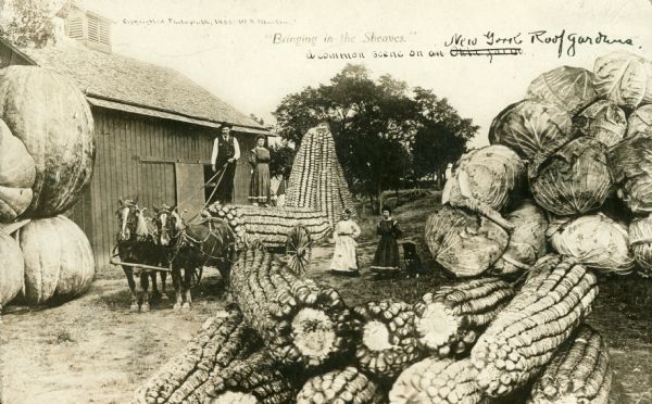 Photomontage of a farm scene with giant produce. A man and a woman stand on top of a giant ear of corn, resting on a horse-drawn cart.  Around them are more giant corn cobs, cabbages, and pumpkins. Beside them stands a large wooden barn. In the upper center the words: "'Bringing in the Sheaves' a common scene on an Okla farm," are written.