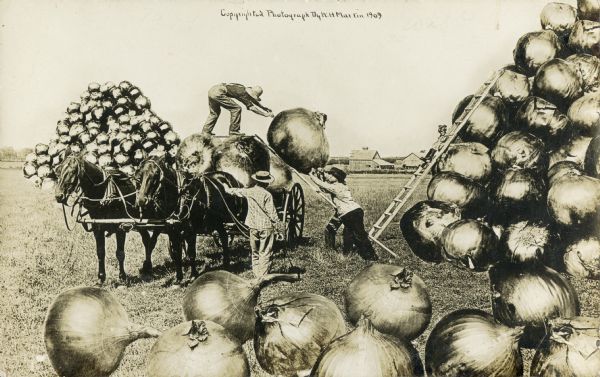 Photomontage of several farmers working to lift a giant onion onto the flatbed horse-drawn cart. Beside them is a giant mound of onions with a ladder leaning against it. A little girl sits on the ladder watching the farmers. Another giant mound of onions and several farmhouses are visible in the background.