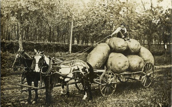 Photomontage of a man, wearing overalls, sitting on a mound of giant potatoes resting on a flatbed horse-drawn cart. The man is sitting sideways, holding the reigns of the two horses. A dense forest creates a background for the scene.