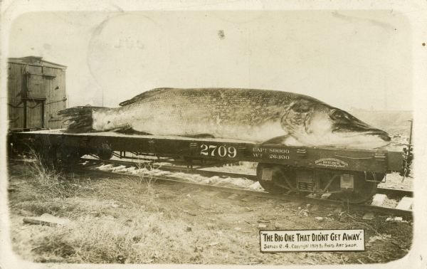 Photomontage of a giant pike on a flatbed railroad car. A text box in the lower left corner includes the quote, "The Big One That Didn't Get Away." Small text imprinted on the side of the railroad car says, "Haskell and Barker Car Co. Builder. Michigan City, IN." A silhouette that appears to be a man and a horse is faintly visible on the horizon above the fish's head.