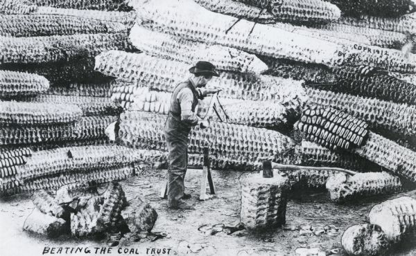 Photomontage of a man sawing a giant ear of corn as though it was a log.  Beside him an ax is wedged in a stump-like piece of corn.  A mound of giant ears of corn fill the background.  The words, "Beating the Coal Trust," appear at the bottom of the image field.