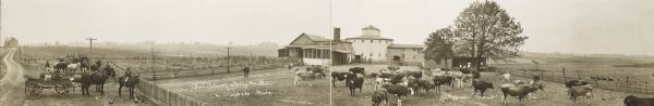 Panoramic view of the B.J. Dairy and Farm. Shows fenced-in yard with various cows in front of a round barn.