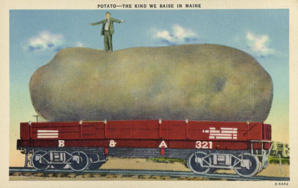 Man standing with arms outstretched atop a giant potato, resting on a red flatbed train car.  The train car says "B & A 321" on the side in white letters, representing the Bangor and Aroostook Railroad Company.  The caption at the top reads, "Potato-the kind we raise in Maine."