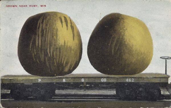 Photomontage of two giant green apples resting on top of a flatbed railroad car. Caption reads: "Grown near Ruby, Wis."  Marking on the side of the railroad car reads: "P & G Co. 462," a shortened version of "Proctor & Gamble Company."