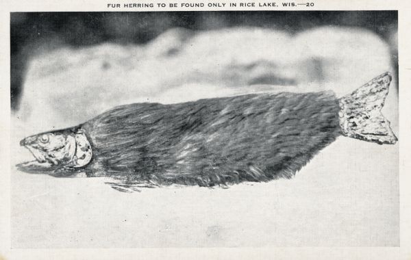 Altered photograph depicting a herring as though it was covered in fur. Caption at the top reads: "Fur herring to be found only in Rice Lake, Wis." No. 20 in a series.