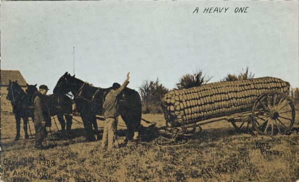 Photomontage of a giant ear of corn resting on a flatbed wagon.  The ear is so heavy that is has broken the hitch, and the driver is going to assess the damage. A caption at the top reads, "A Heavy One."