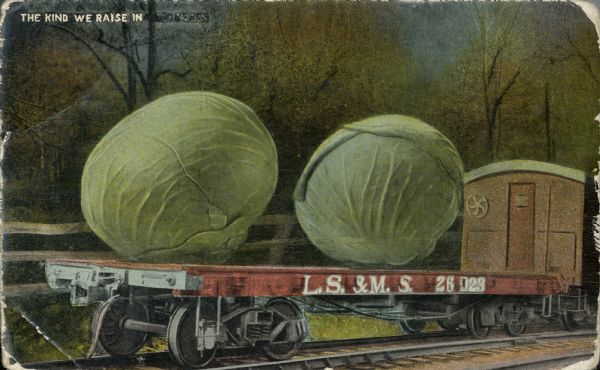 Photomontage of two giant heads of lettuce/cabbage resting on a flatbed railroad car.  The side of the car is imprinted with, "L.S. & M.S. 26 D23," showing that it belongs to the Lake Shore and Michigan Southern Railroad line.  The caption at the top, part of which has been filled in, reads, "The kind we raise in. . ."