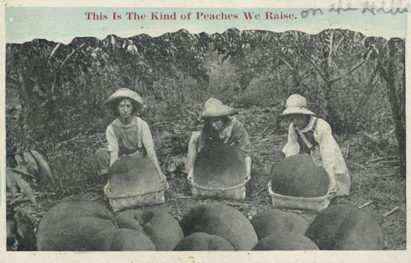 Photomontage of three women lifting baskets filled with giant peaches.  The foreground as lines with other giant peaches.  The top of the image is trimmed to provide space for the caption, "This Is The Kind of Peaches We Raise."  The phrase, "on the Hills," has been penciled in after the caption.