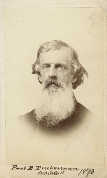 Vignetted carte-de-visite portrait of Professor Edward Tuckerman (1817-1886), American botanist and artist. Appointed professor of botany at Amherst College in 1858. As a botanist, he specialized in lichens. Handwritten inscription at the bottom reads, "Prof. E. Tuckerman, Amherst, 1870."