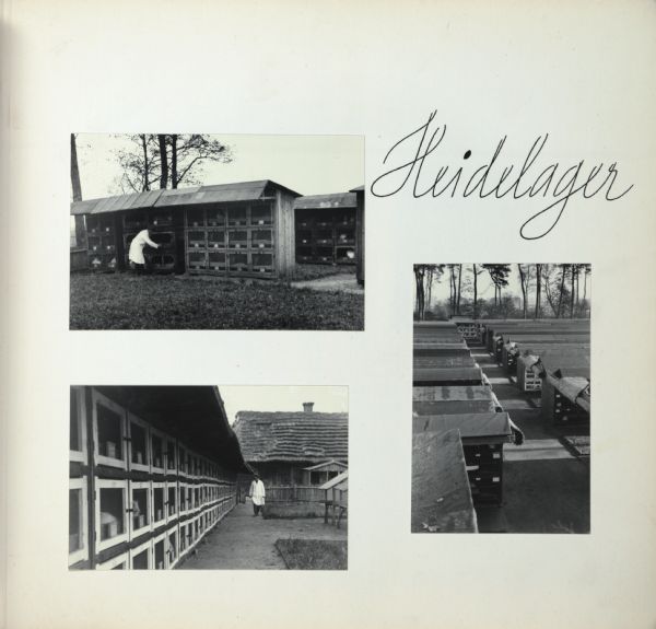 Rabbit hutches at Heidelager concentration camp in Poland.