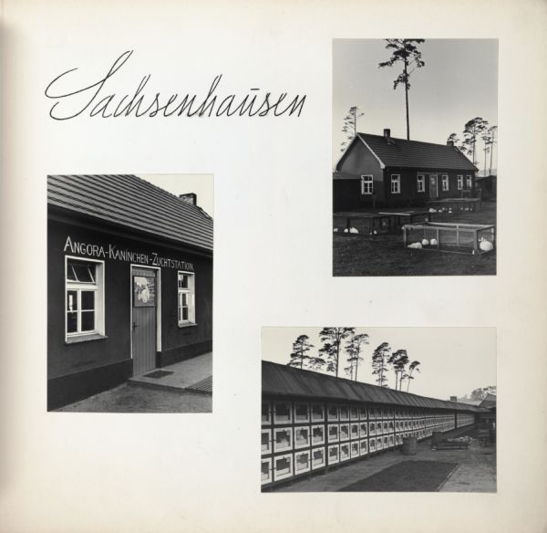 Rabbit hutches at Sachsenhausen concentration camp in Germany.