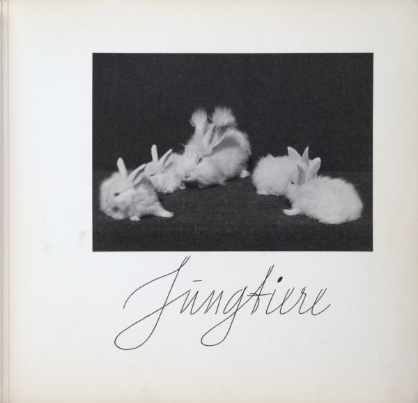 Young angora rabbits, captioned "Jungtiere".