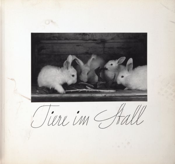 Four angora rabbits eating in a wood hutch, with the words, "Tiere im Stall".