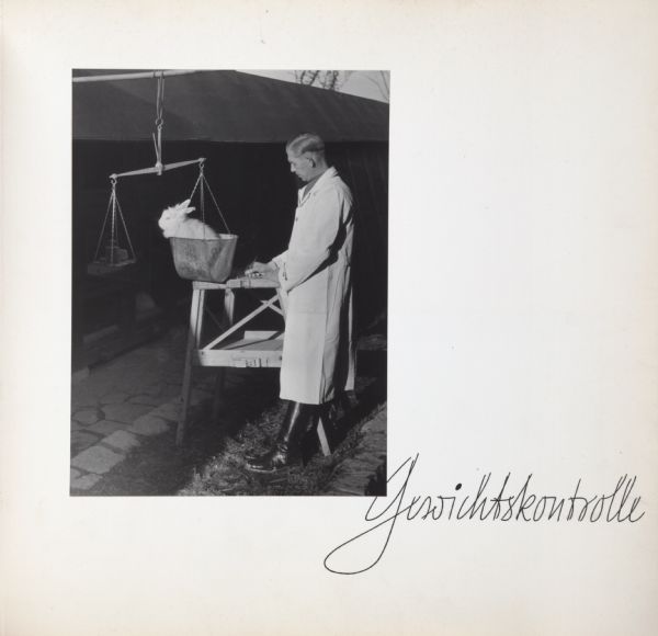 Man in lab coat weighing angora rabbit with scale outdoors. Text on page says, "Gewichtskontrolle".