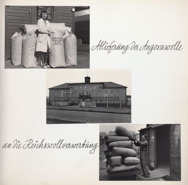 Angora rabbit fur production. A man and woman are standing near bags of angora wool to be delivered to the Reichs wool manufacturing company. Text on page says, "Ablieferung der Angorawolle an die Reichswollverwertung."