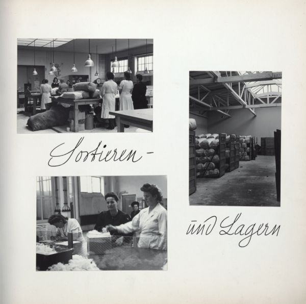 Women are shown sorting and storing angora wool. Bags of wool are shown stacked in a room. Text on page says, "Sortieren - und Lagern."