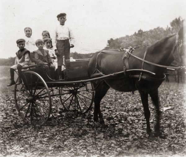 Cary Bass (most likely the child sitting with feet hanging over the cart), with a group of 5 unidentified children. They are all in a horse-drawn cart in a field.
