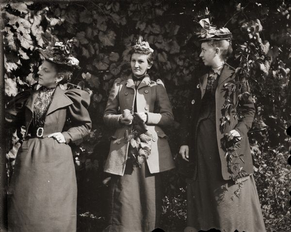Madge Lowe and two female friends picking vines.