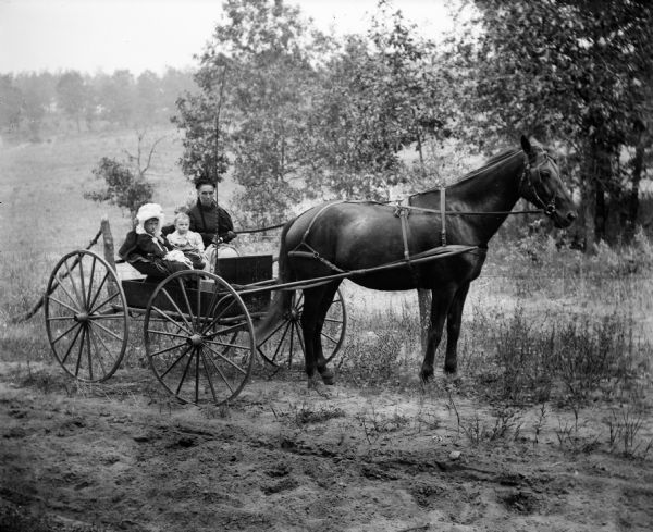 Everetta and Cary Bass in a horse-drawn carriage with an unidentified woman. Behind them is a fence, trees, and a field.