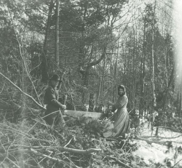 Man and woman using a double-handled saw to clear trees from their land.