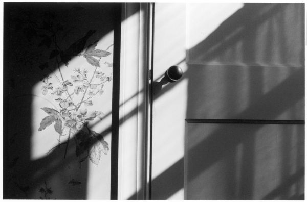 Afternoon shadows fall across the door and flowered wall paper in a Chapel Hill bedroom.