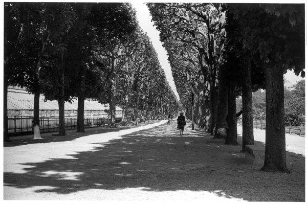 Woman walking the path at the Jardin Des Plantes in Paris, France.