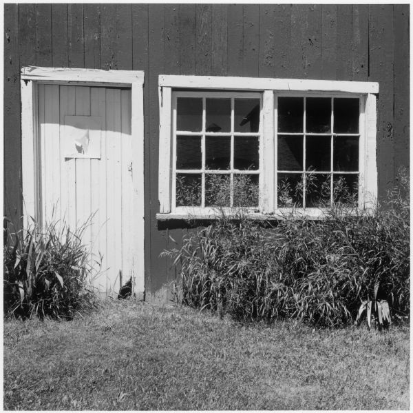 Door and windows of a chicken house.